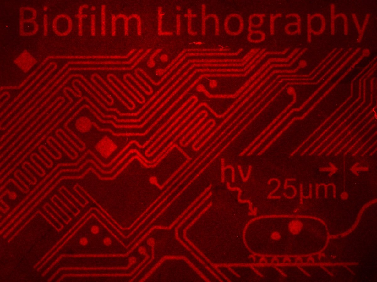 Synthetic biofilm patterning